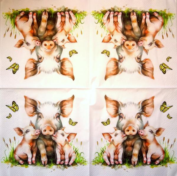 080 Pigs - 3-ply - Nouveau